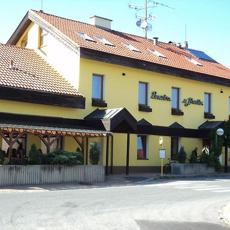 Penzion U Jirsaka Vikyrovice Luaran gambar